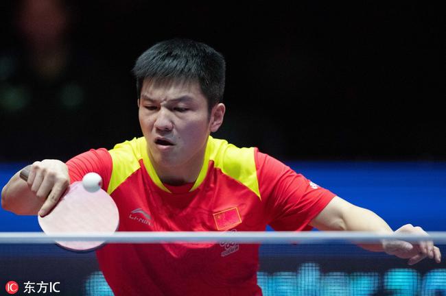 形成了互补 形成了互补